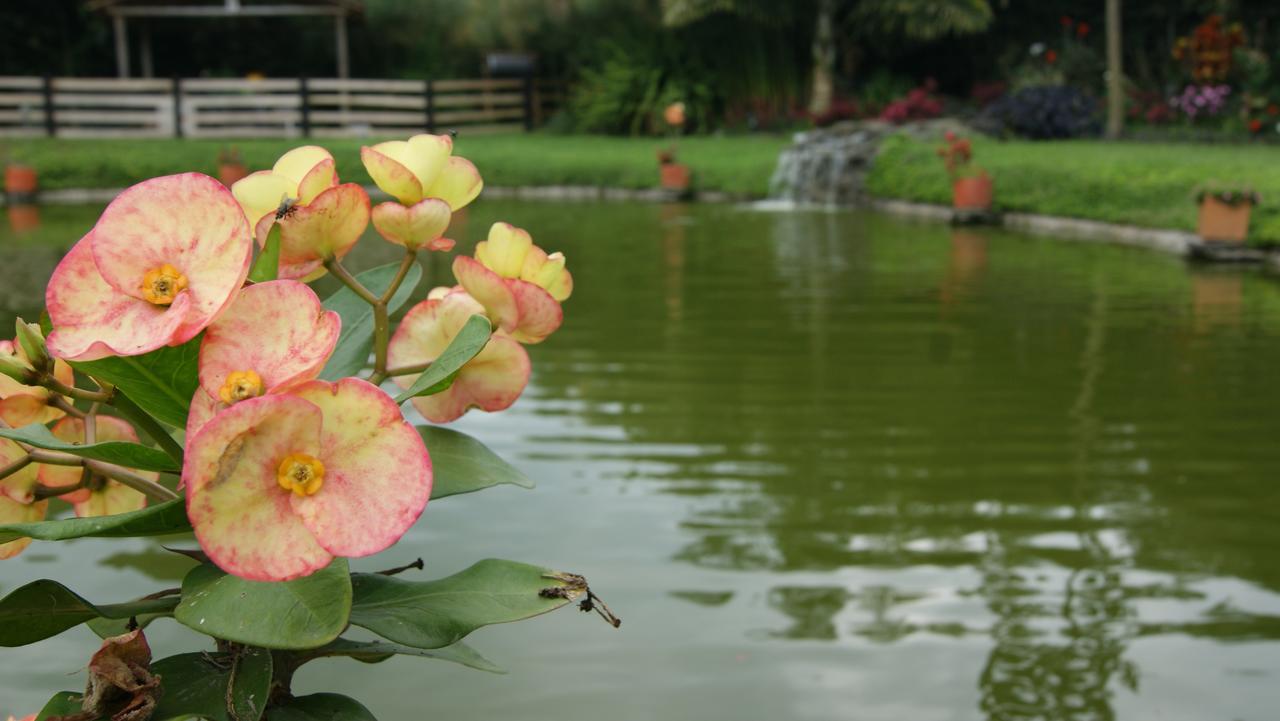 Matisses Hotel & Spa Santa Rosa de Cabal Zewnętrze zdjęcie