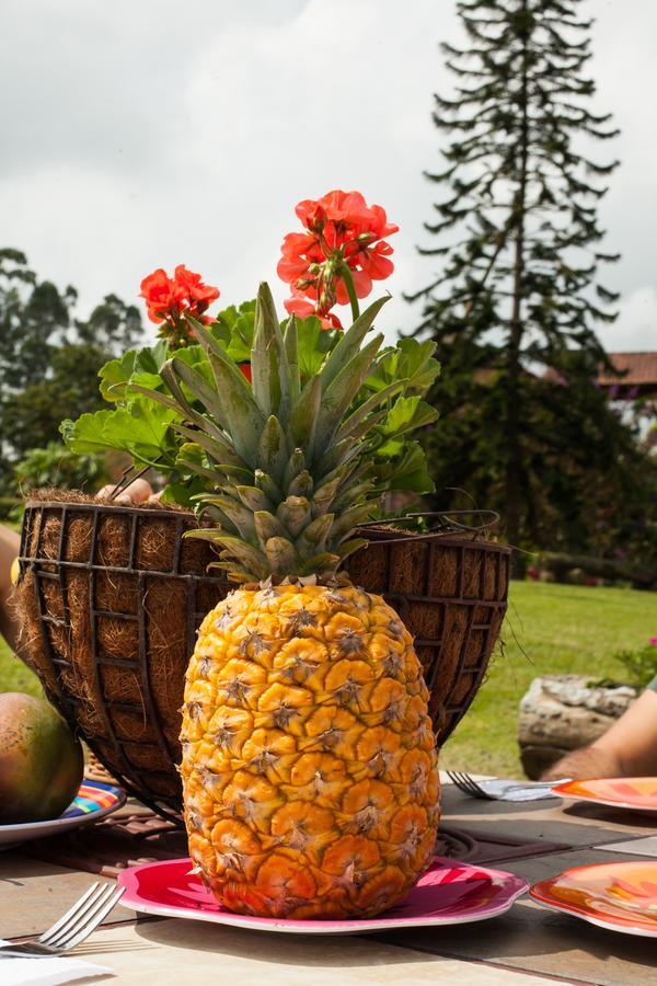 Matisses Hotel & Spa Santa Rosa de Cabal Zewnętrze zdjęcie